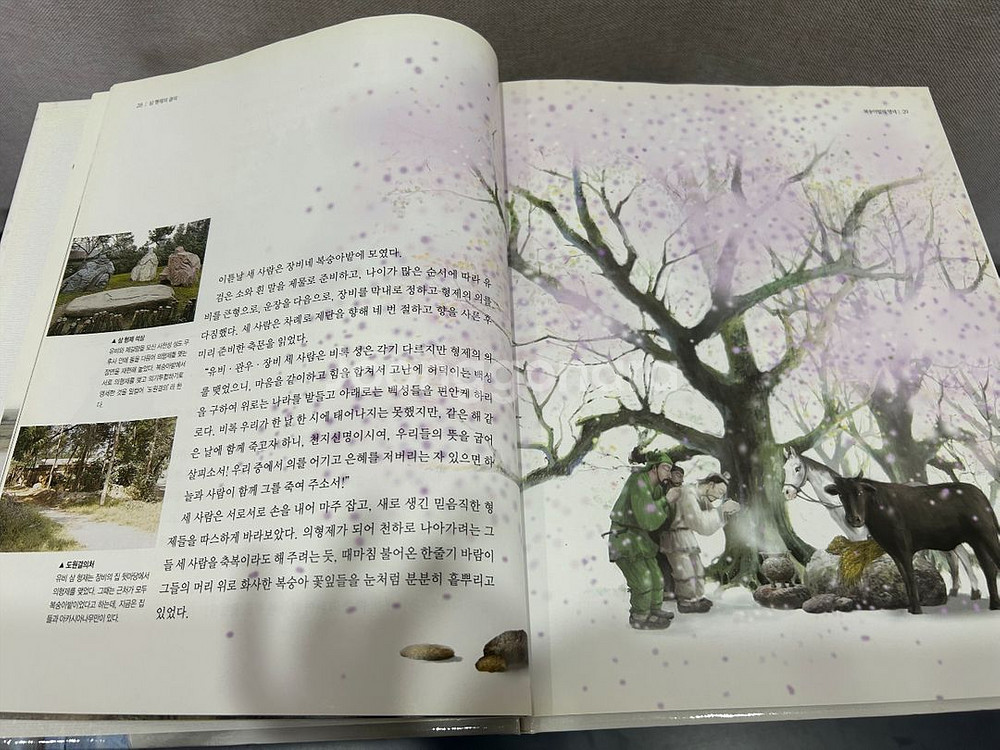 교원 삼국지 전집--1