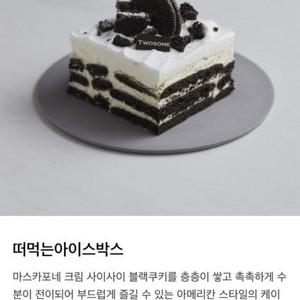 투썸플레이스 떠먹는 아이스박스