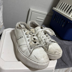 프라다 신발 판매합니다 풀 구성입니다 세탁 하시면 깨끗