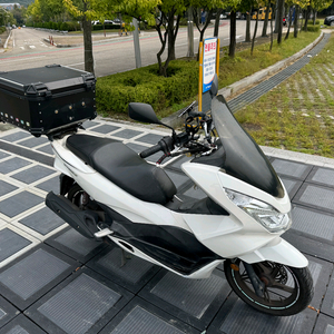 혼다 pcx125 16년 화이트컬러 짧은키로수 팝니다