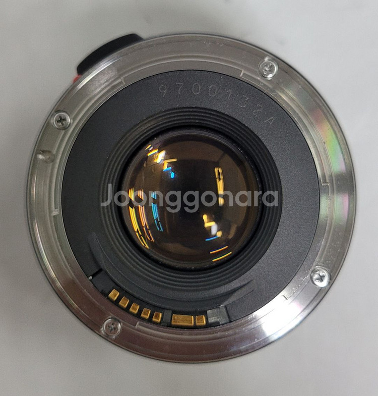 캐논EF-S18-200IS EF28mm f1.8(이파리--7