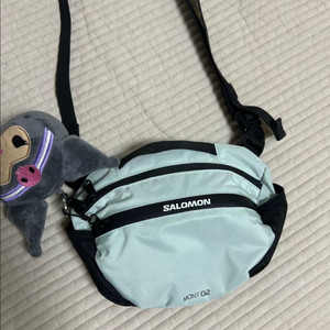 살로몬 몽트