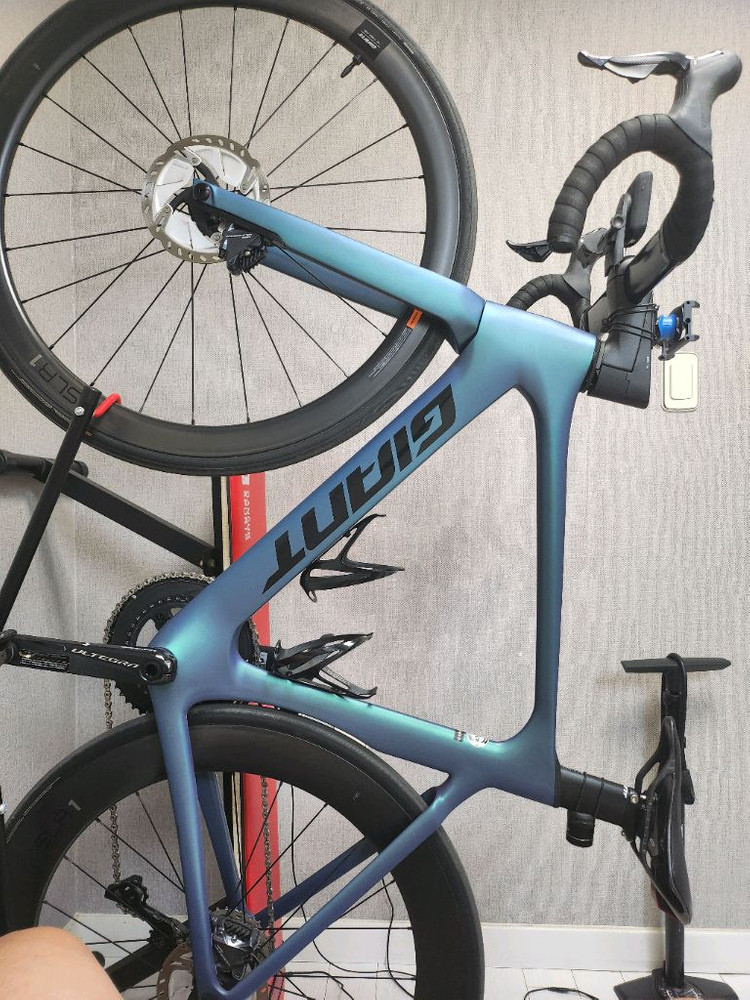 2021 자이언트 프로펠 어드밴스 프로 0 디스크 이미지