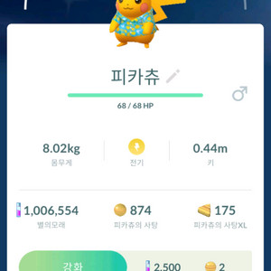 포켓몬고 코스튬 피카츄 이로치 팝니다. 이미지