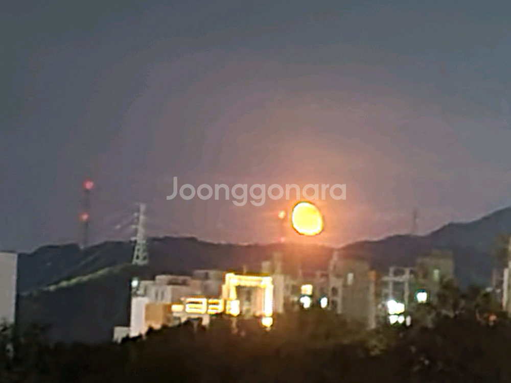 메이플 엘리시움 2000:1 ㅍㅍ--0