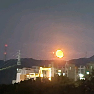 메이플 엘리시움 2000:1 ㅍㅍ