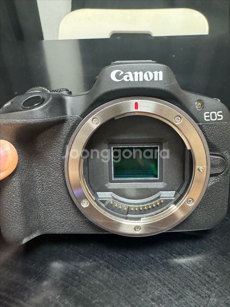 캐논 eos r50 + 시그마 c 18-50mm--5