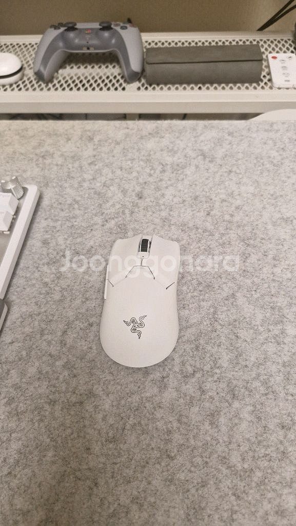 레이저 바이퍼 v2 pro--0