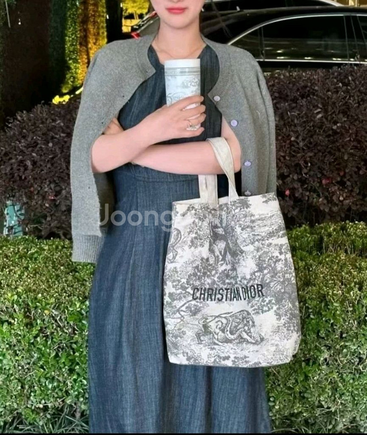 디올 트왈드주이 테크니컬 에코백--0