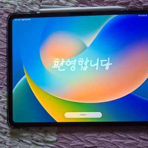 아이패드 프로 13인치 M4 wifi 256gb