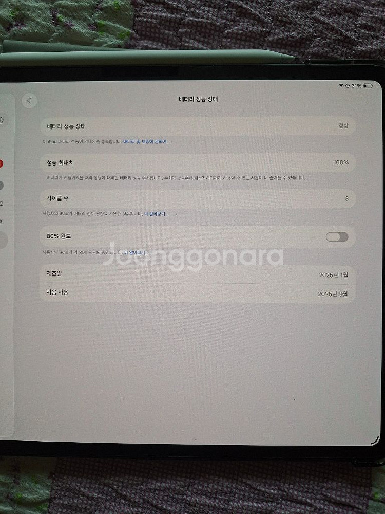 아이패드 프로 13인치 M4 wifi 256gb--2