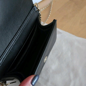 디올 나노파우치백