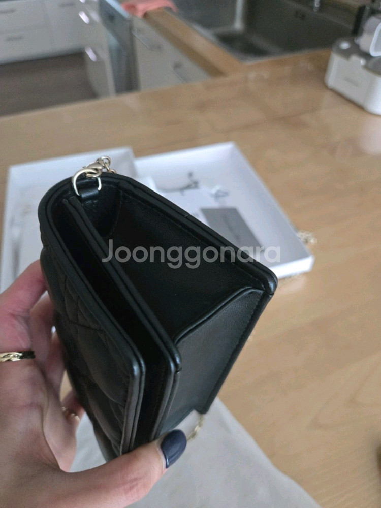 디올 나노파우치백--3