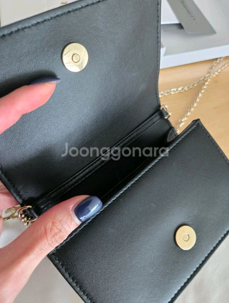 디올 나노파우치백--1