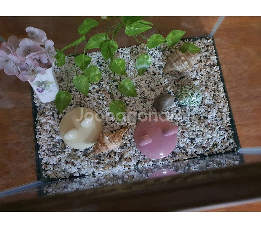 소형유리수족관저렴히1만5천원예쁜돌+수족관흰돌등등모두포함--7