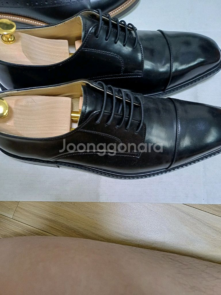 탠디 275 구두--2