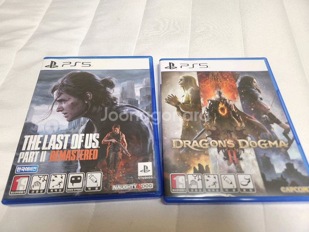 ps5 라스트 오브 어스2 드래곤 도그마2--0