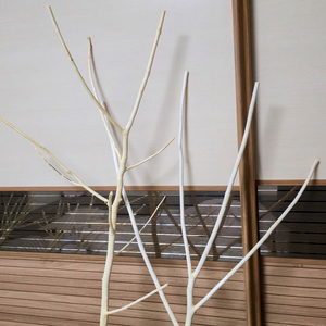 앵무새 횃대 - 아카시아나무 원목 횃대