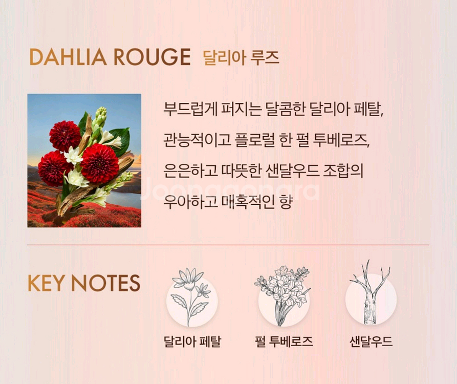 <무료배송> 모로칸오일 핸드크림(새상품)--4