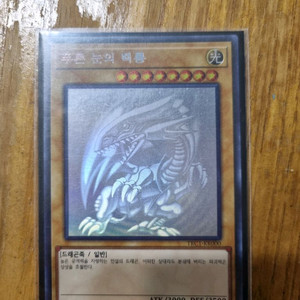 푸른눈의백룡 홀로그래픽레어 외 일괄판매