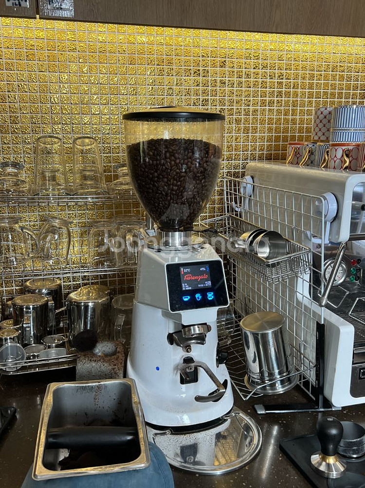 Fiorenzato 피오렌자또 F64E그라인더--0