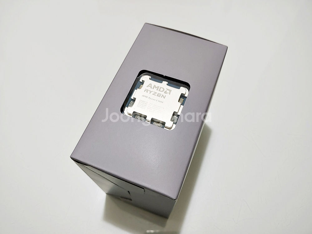 AMD 라이젠 9600 멀티팩 국내정품 (쿨러미포함)--3