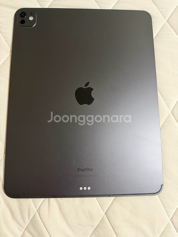 아이패드 프로 M4 13 셀룰러 스페이스블랙 256기가--0