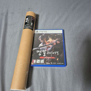ps5 명말 공허의깃털