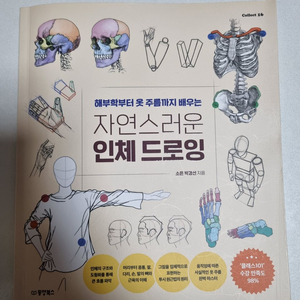드로잉 서적 판매합니다 (자연스러운 인체 드로잉 등)