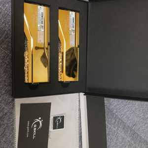 지스킬 트라이던트 z5 로얄 네오 골드 32gb (16