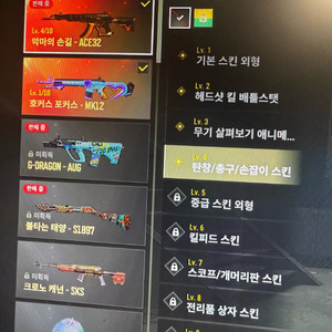 스팀배그 부가티,한나,성장형 팔아요