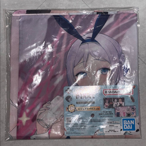 니케 이치방쿠지 C상 팝니다