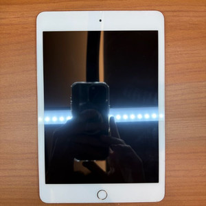 급처)아이패드미니5 64gb wifi 판매합니다