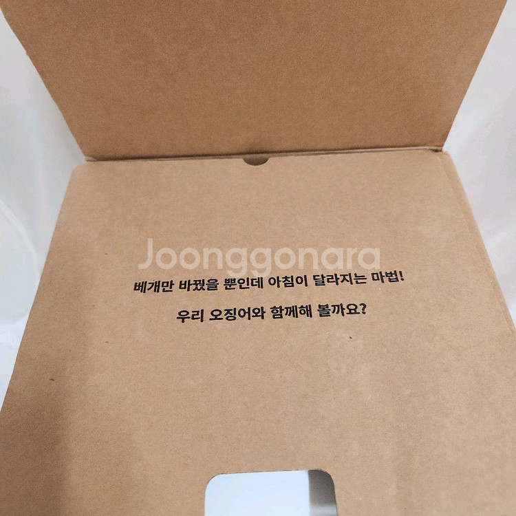 피어 17 경추배게, 오징어베개, 숙면베개, 편한배개--5