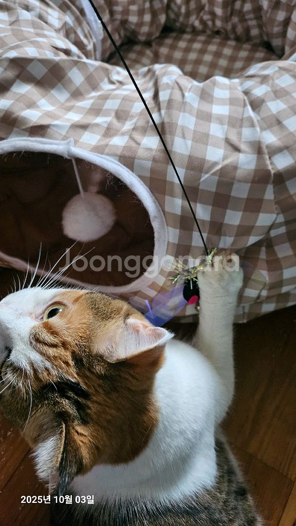 유플러스 데이터 2g--0