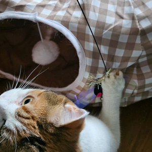 유플러스 데이터 2g