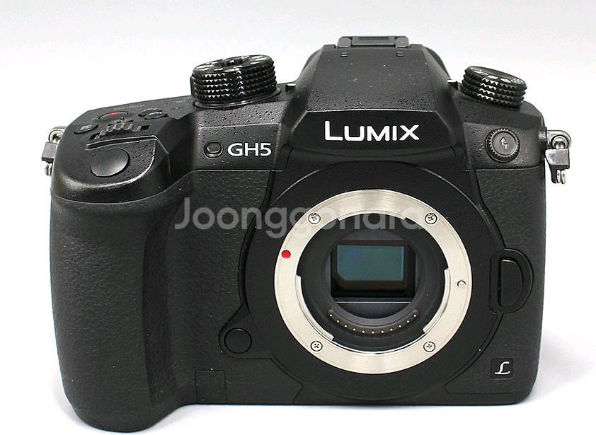 파나소닉 루믹스 GH5 중고a급(약2500컷)--0