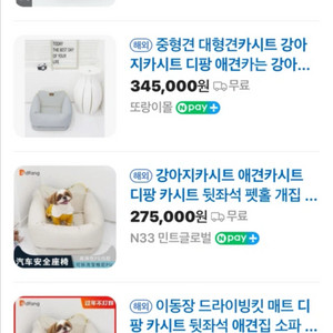 디팡 야견 카시트