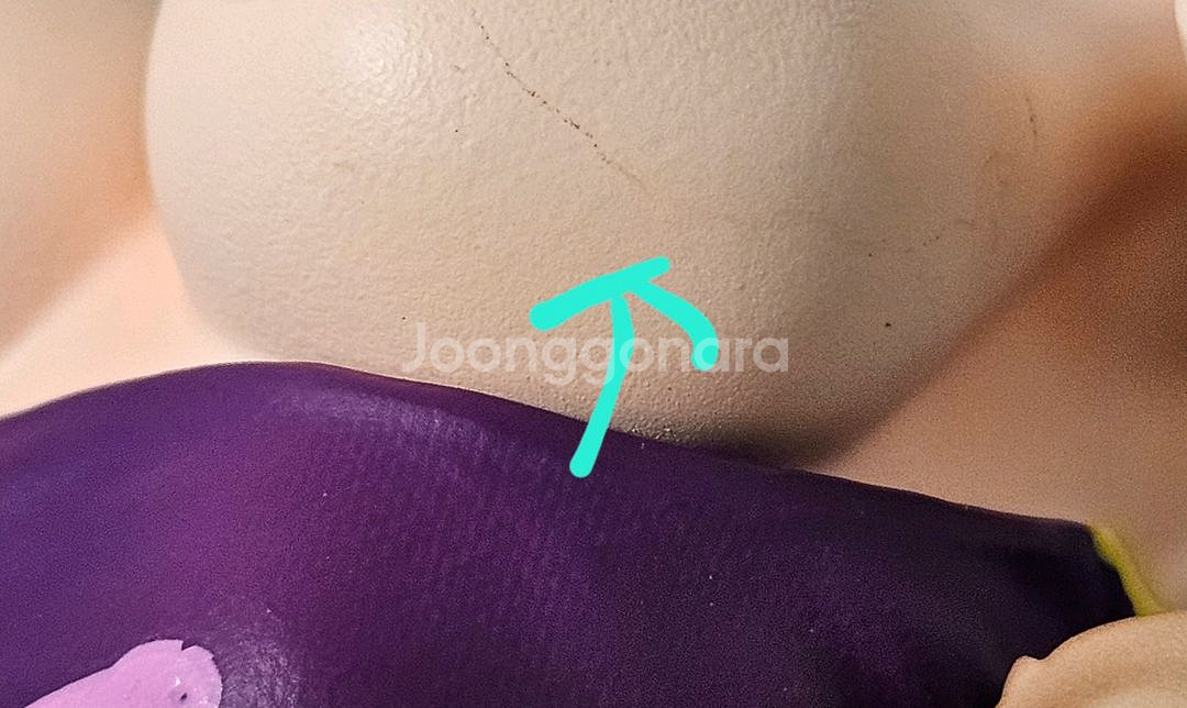 헌터팬 보아핸콕 (원피스 레진 피규어)--5