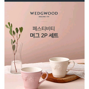 웨지우드 페스티비티 머그 2P 세트 새상품입니다
