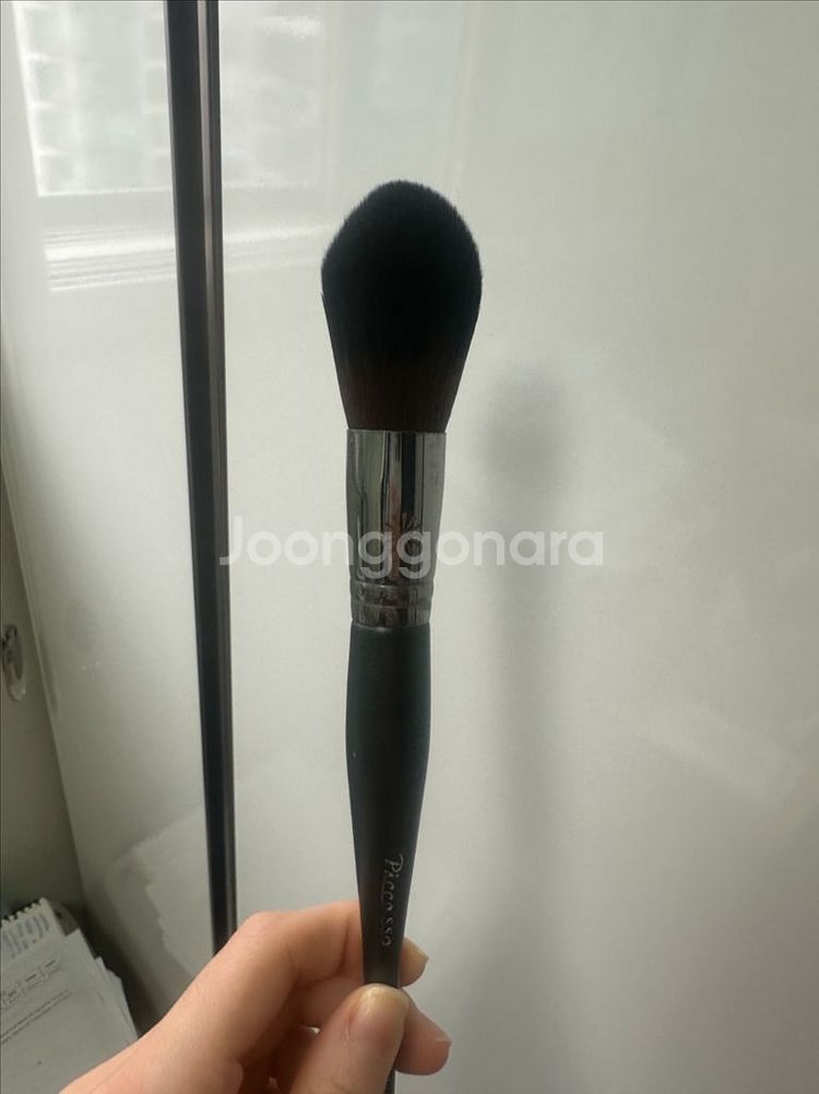 피카소 133 픽싱 브러쉬--1