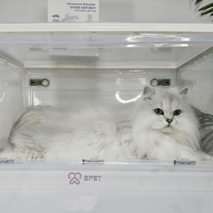 반려동물 산소방 에펫 세트