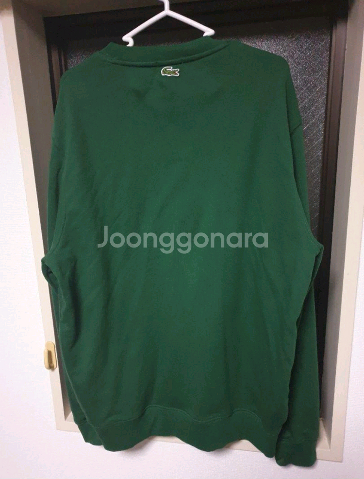 라코스테(LACOSTE) 뉴로고 포인트 그린 맨투맨 X--1
