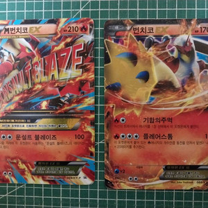 포켓몬카드 번치코 XY 프로모 세트