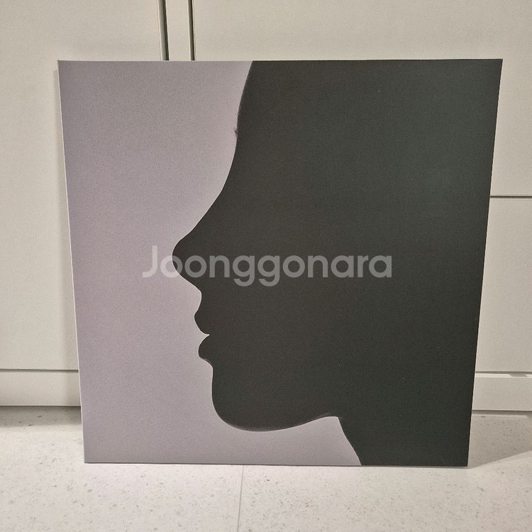 크러쉬 with her LP--0