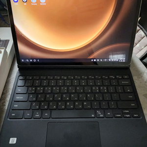 갤럭시탭 S9 FE+ 5G 128G