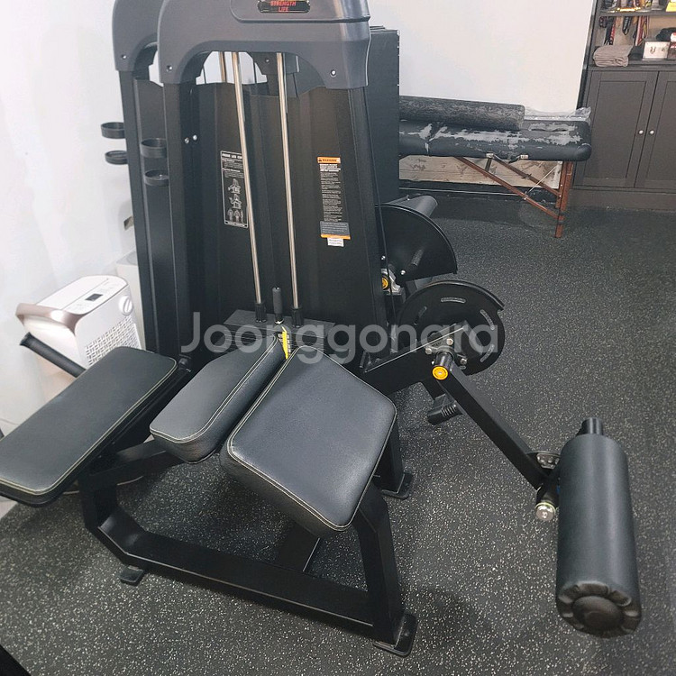 스트렝스라이프, 인바디, 디랙스 사이클 10/10까지--5