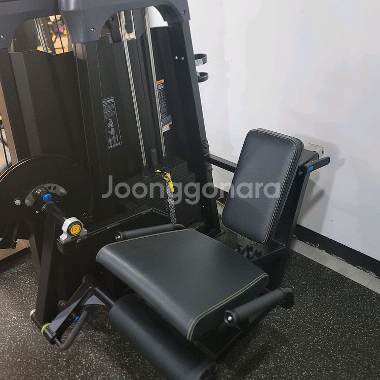 스트렝스라이프, 인바디, 디랙스 사이클 10/10까지--6