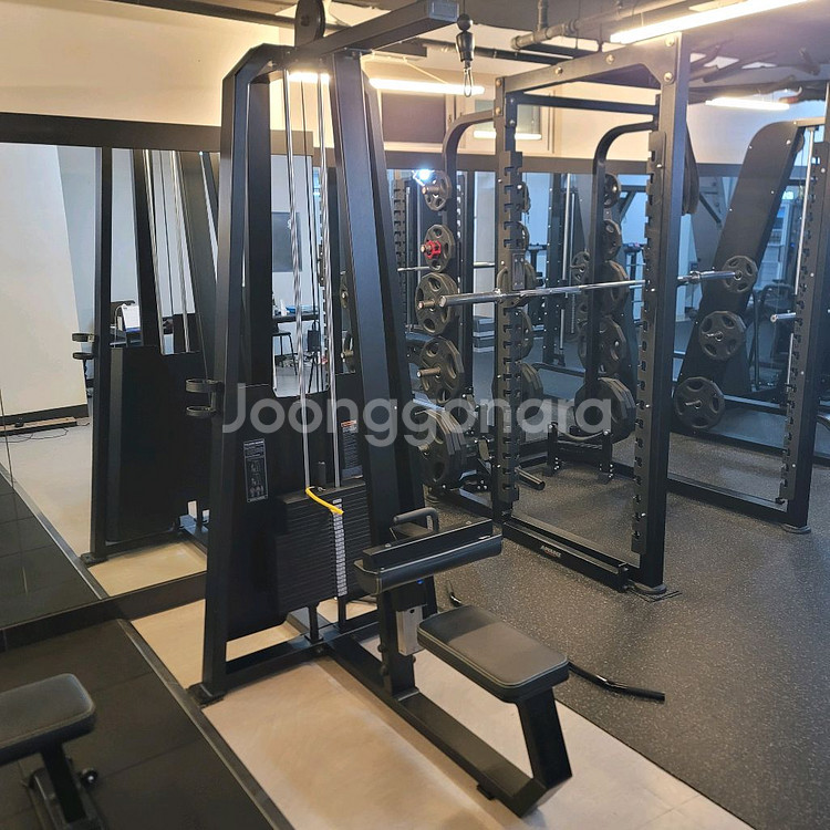 스트렝스라이프, 인바디, 디랙스 사이클 10/10까지--3