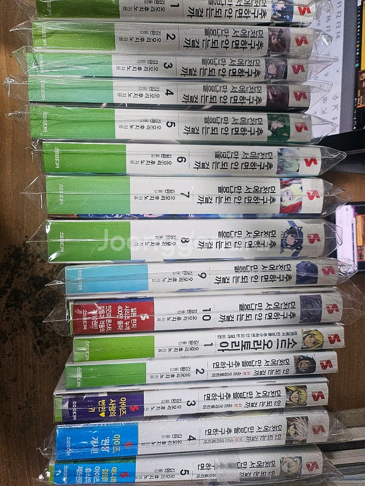 라노벨 던전에서만남을 추구하면안되는걸까 10권+외전5--0